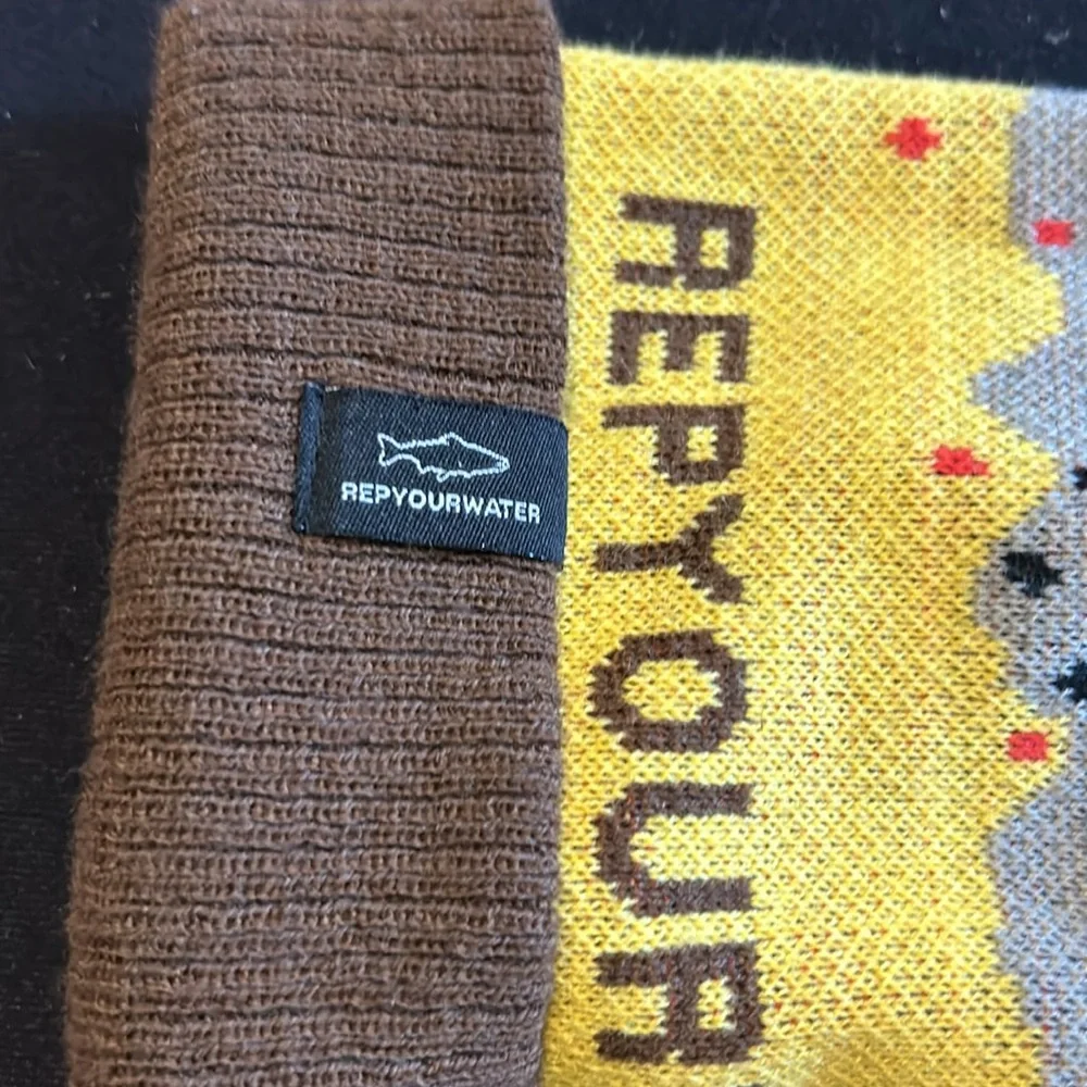 REPYOURWATER Pom Pom beanie - Picture 2 of 4